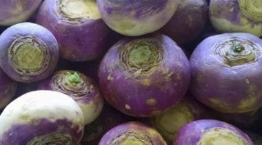 turnip/ rutabaga