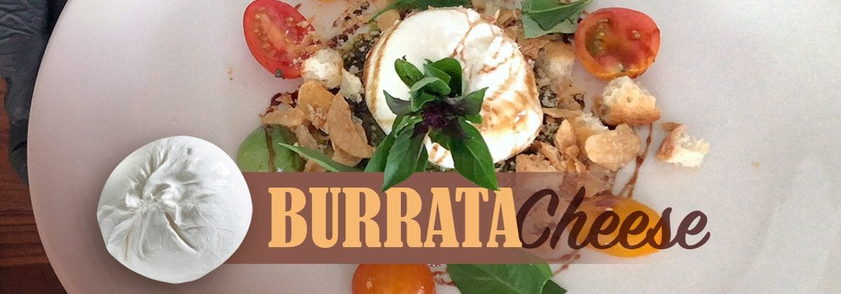 Plated Burrata Cheese Dish