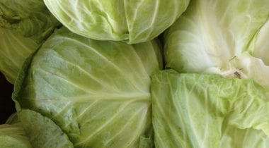 cabbage