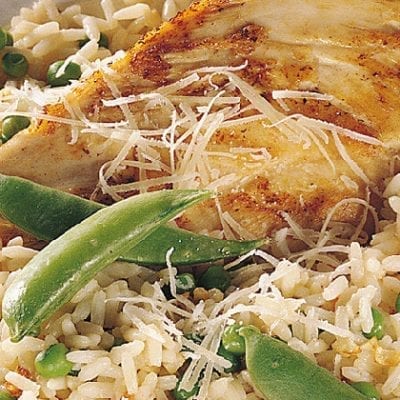 creamy chicken entree