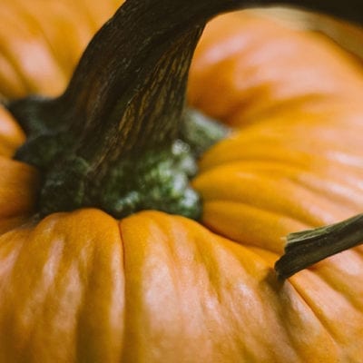 pumpkin top, stem