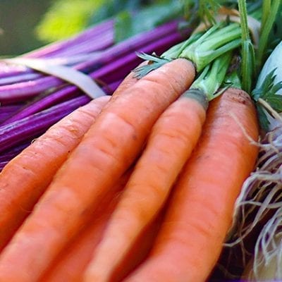 carrots and chard, bundles with leaves