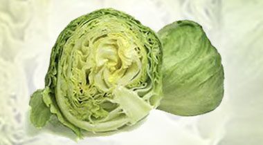 iceburg lettuce