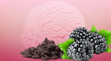 black raspberry ice cream with chocolate chips