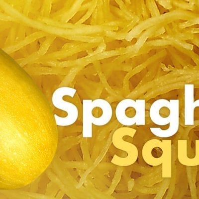 spaghetti squash banner