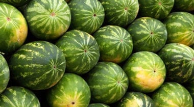 watermelon display
